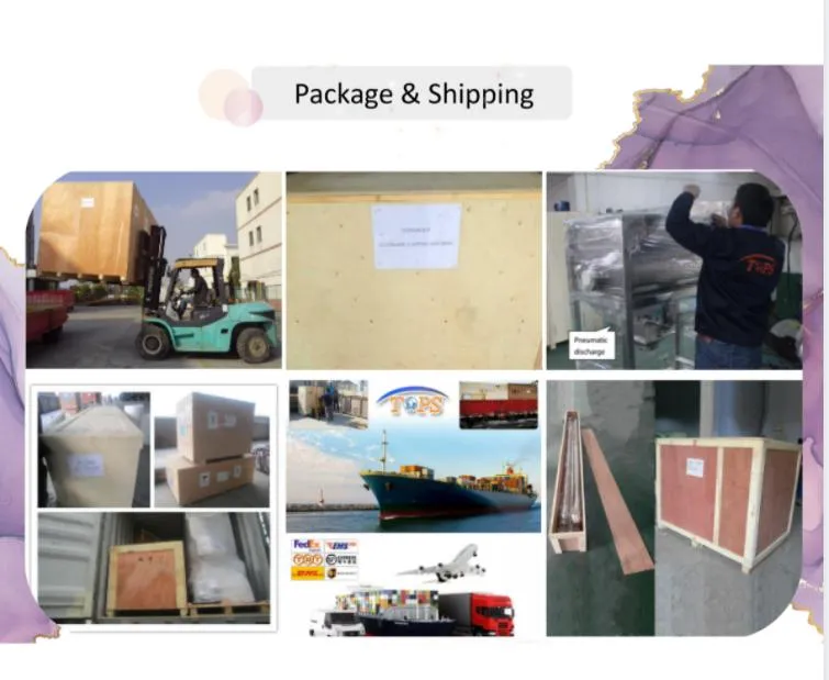 2021 New Design Coffee Ribbon Blender for Dry Power