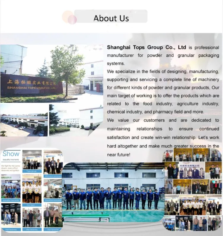 2021 New Design Coffee Ribbon Blender for Dry Power