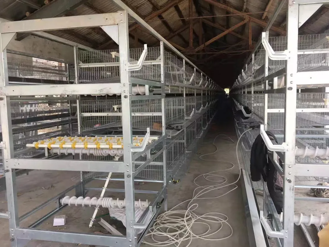 Durable Fully Autoamtic Multi Tiers H Type Layer Chicken Cages for Laying Hot Galvanized Wiremeshes