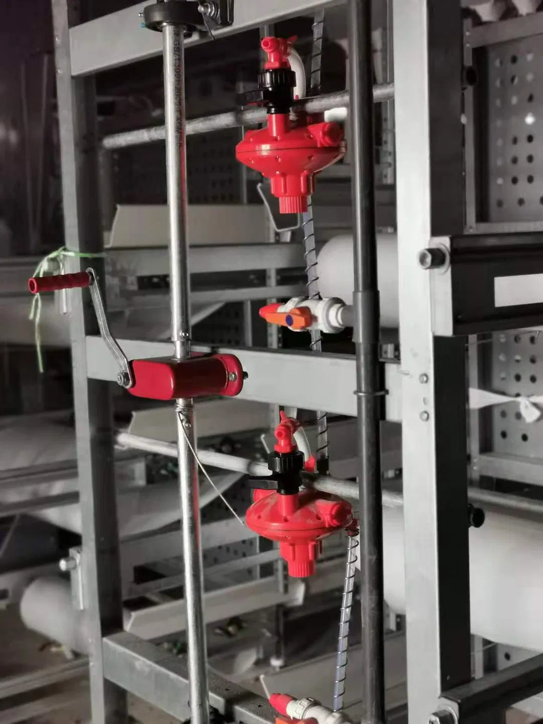 Layer Poultry Equipment Cage for Hot Galvanized Wiremeshes Automatic Cage