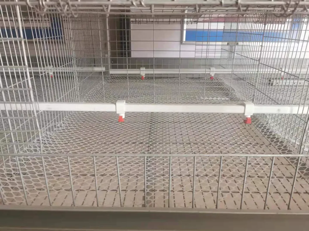 Layer Poultry Equipment Cage for Hot Galvanized Wiremeshes Automatic Cage