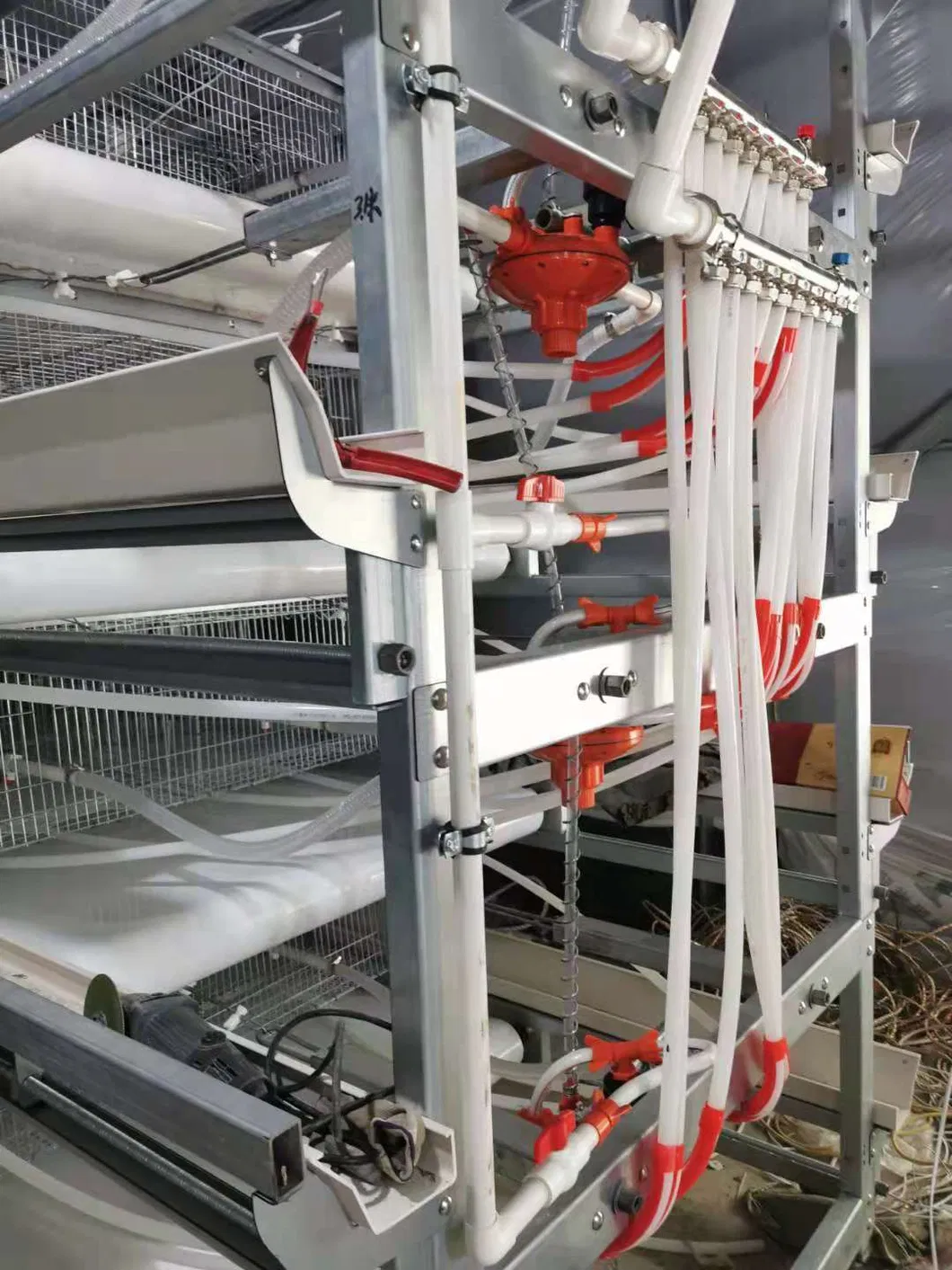 Layer Poultry Equipment Cage for Hot Galvanized Wiremeshes Automatic Cage
