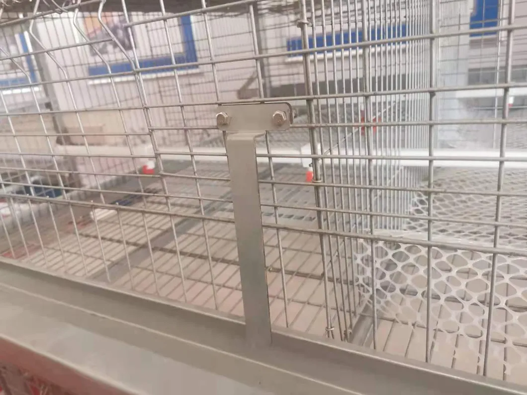 Layer Poultry Equipment Cage for Hot Galvanized Wiremeshes Automatic Cage