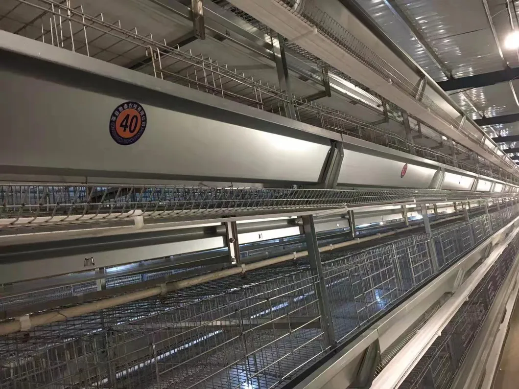 New Cage H Type Hens Cages Hot Galvanized 6 Tiers Cage Wiremeshes Cage Full Automatic for Egg Collection