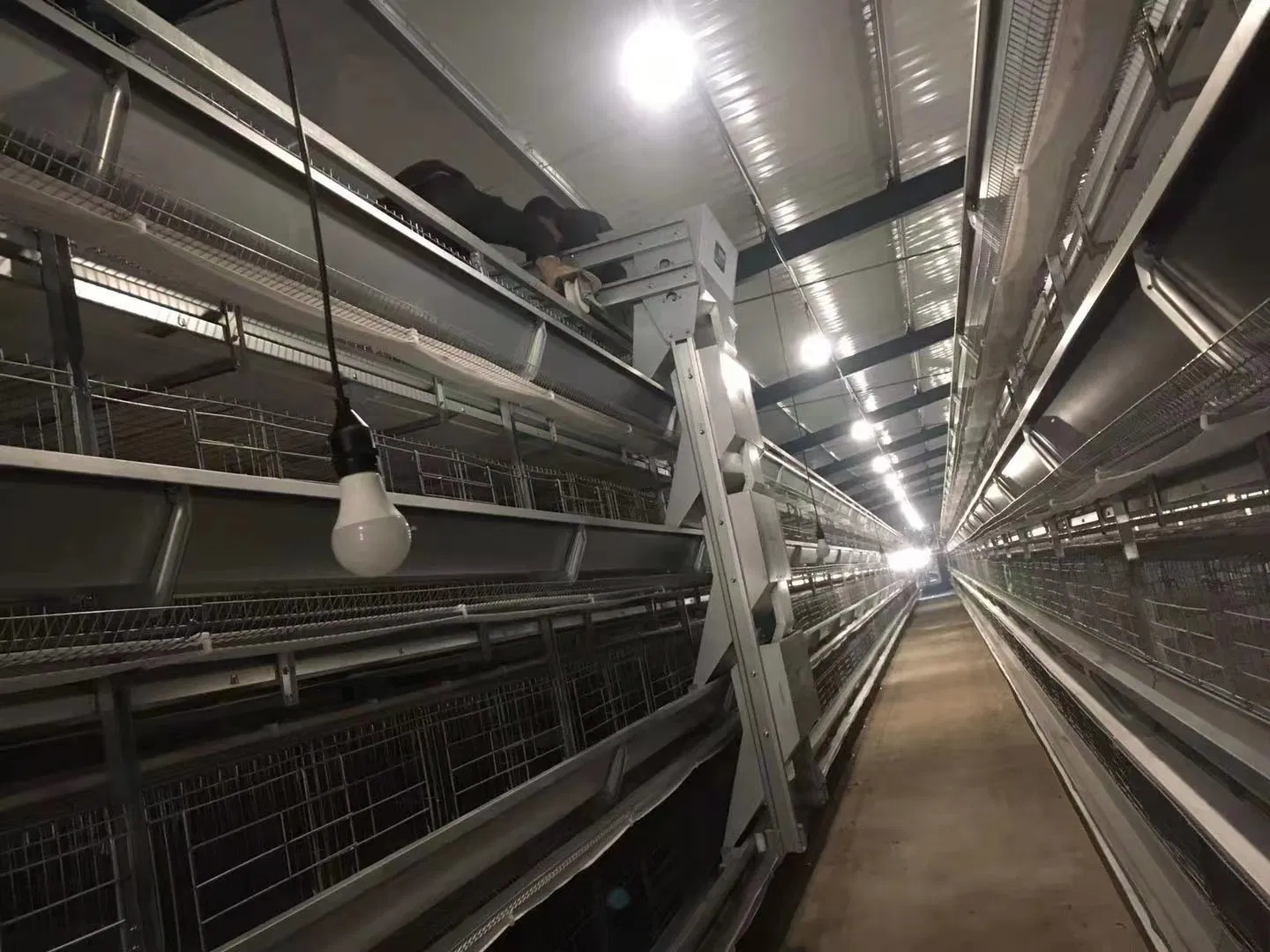 New Cage H Type Hens Cages Hot Galvanized 6 Tiers Cage Wiremeshes Cage Full Automatic for Egg Collection