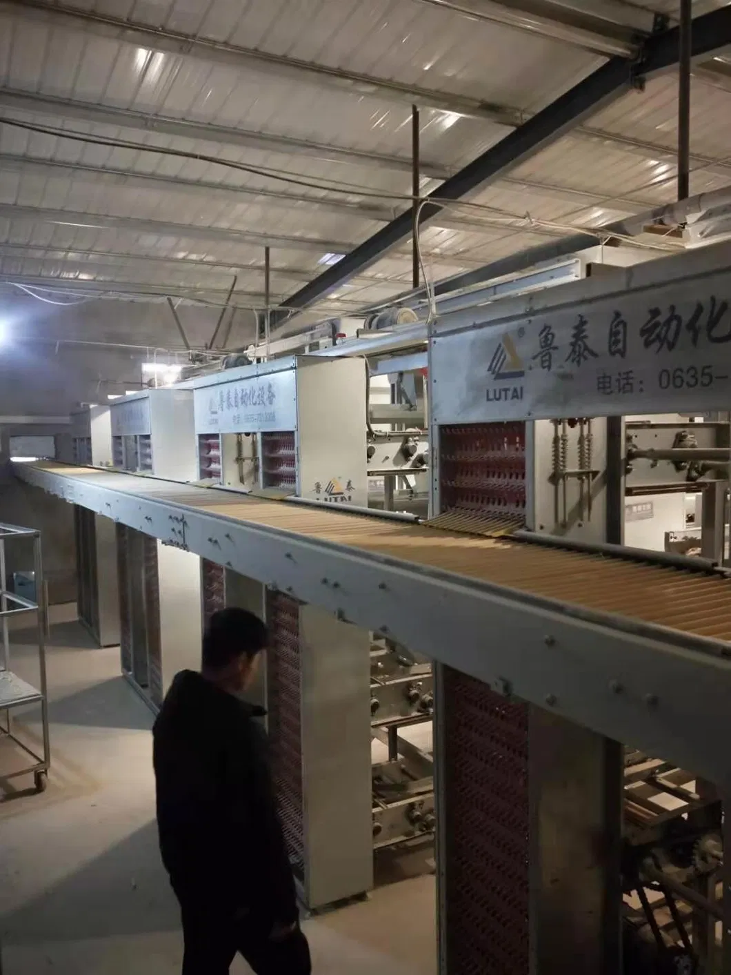 Poultry Farm Equipment Hens Cages Layers Cages Chicken Coops Hot Gavanized Wiremeshes Cages