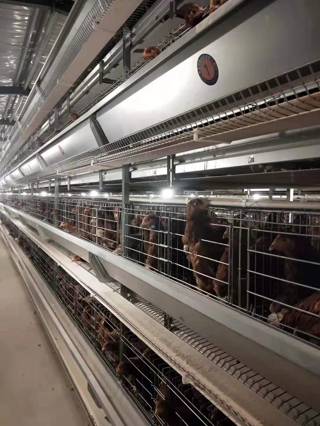 Poultry Farm Equipment Hens Cages Layers Cages Chicken Coops Hot Gavanized Wiremeshes Cages