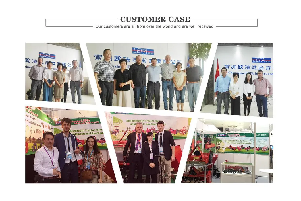 Small Tractor Drive Furrow Moldboard Plow (8′′)