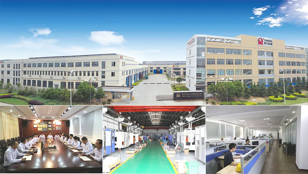 Tongda Hsll-12L Plastic Bottle Stretch 4 Cavity Blow Molding Machine