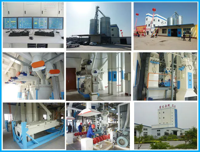 Vannamei Prawn Feed Manufacturing Machinery